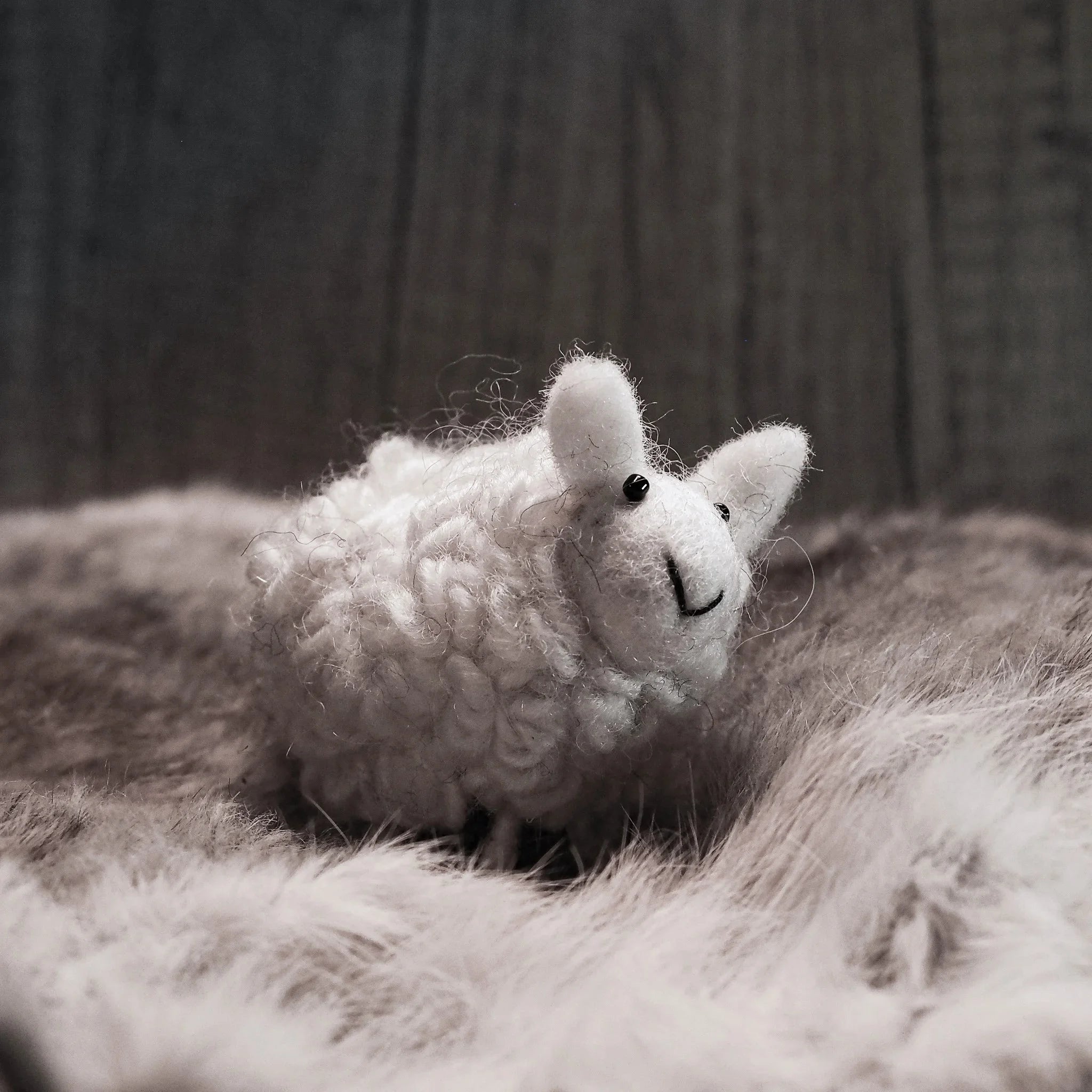 Mini cuddly sheep