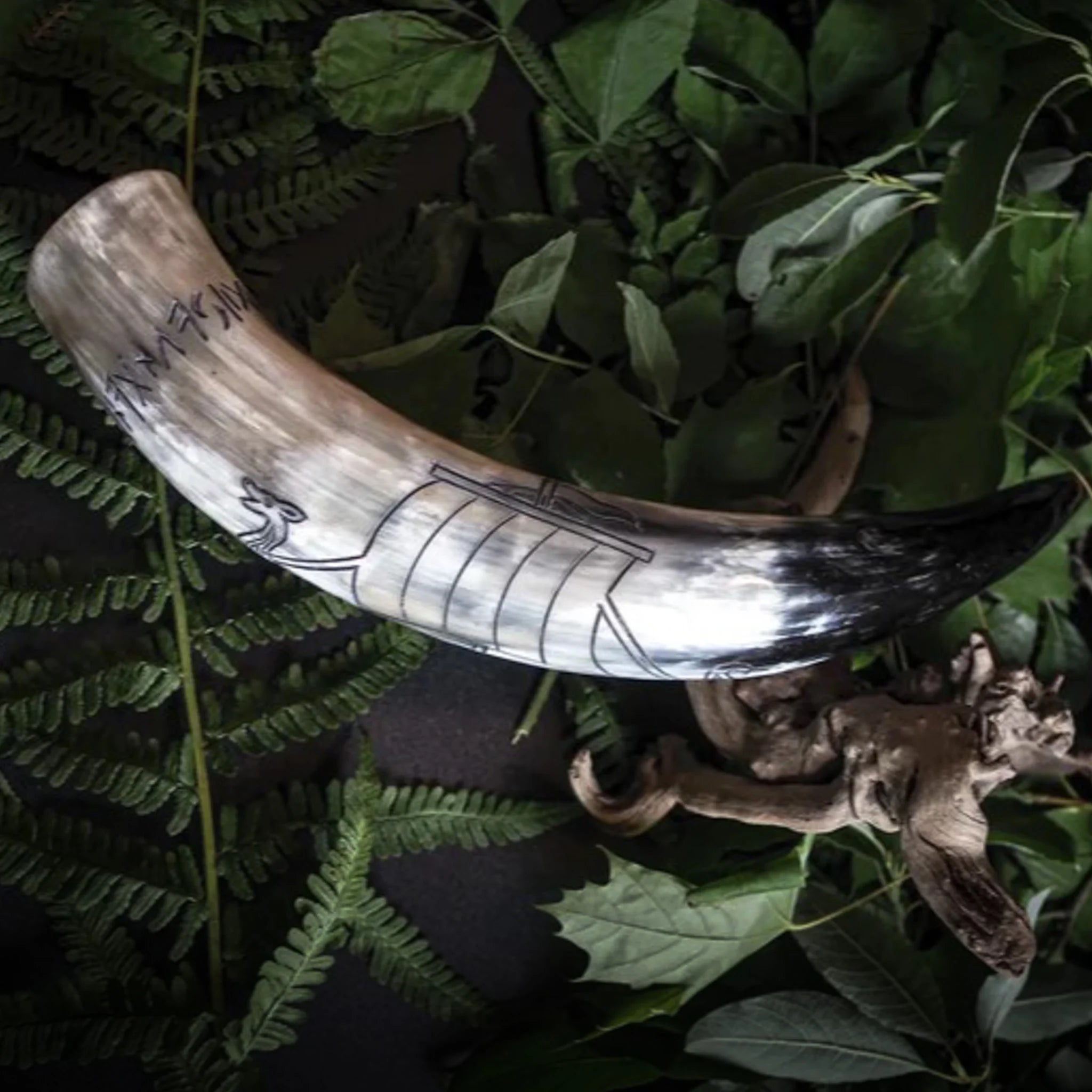 Graverat horn, Vikingaskepp