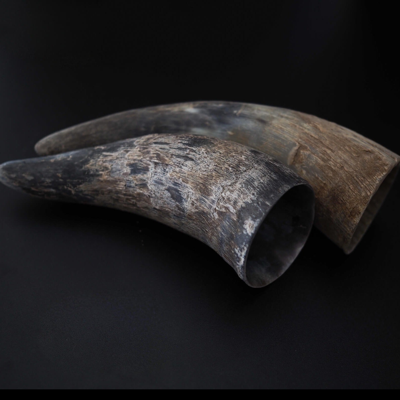 Råhorn från oxe/ko, 1 kg