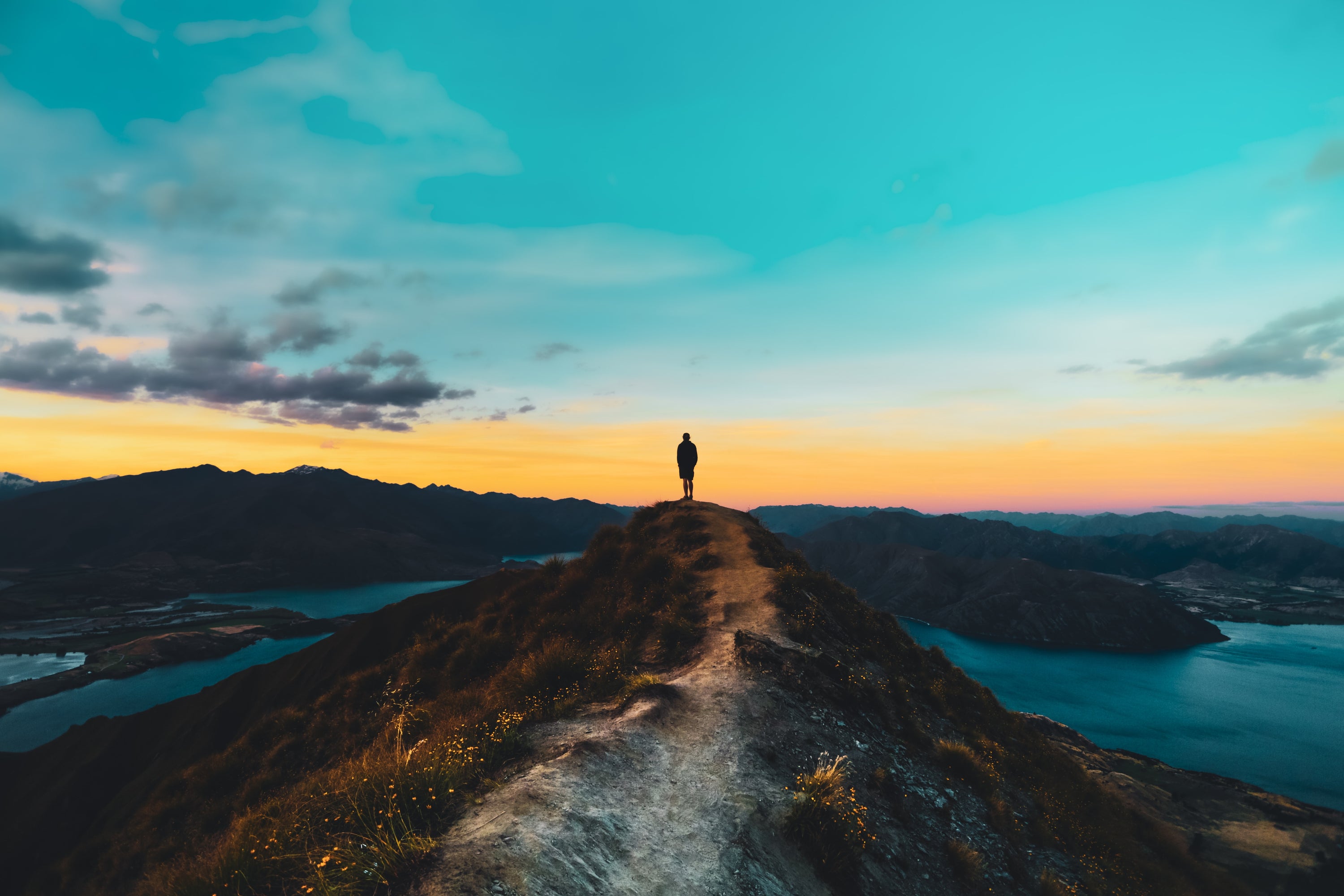 All credits for photo to Marek Piwnicki, downloaded from Unsplash