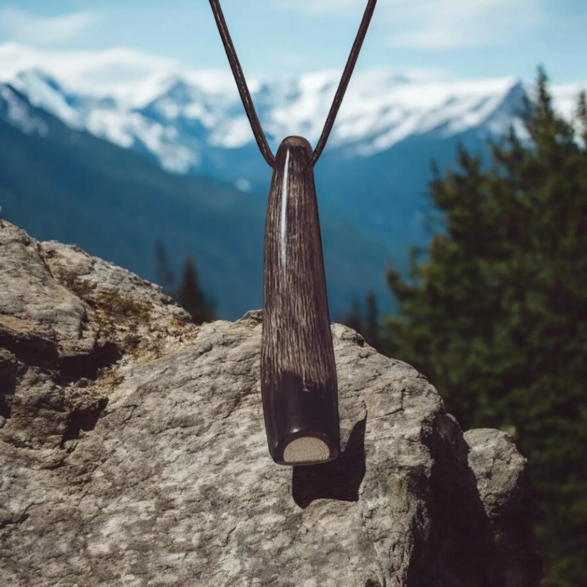Whistle