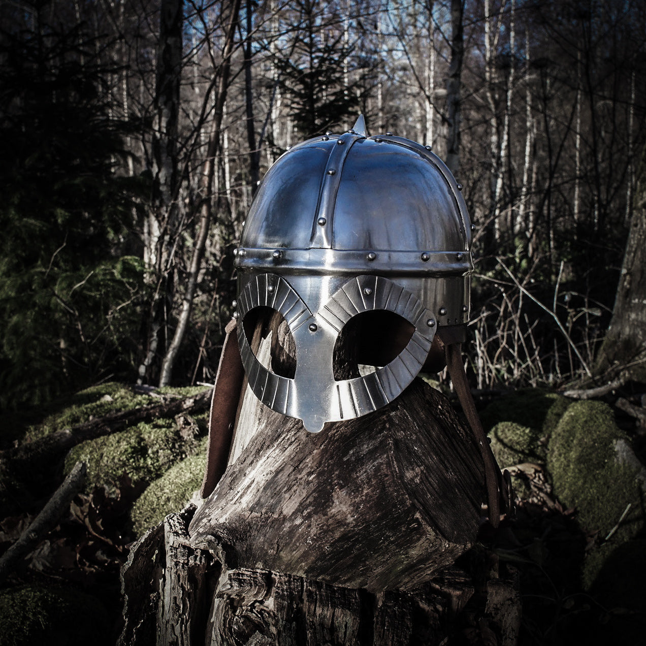 Hjälm Viking Gjermundbu