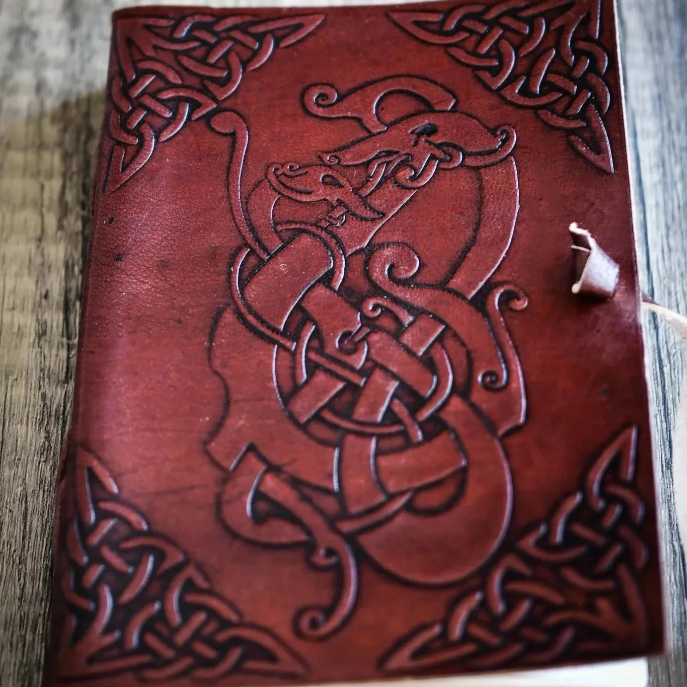 Anteckningsbok, Vikingadrake