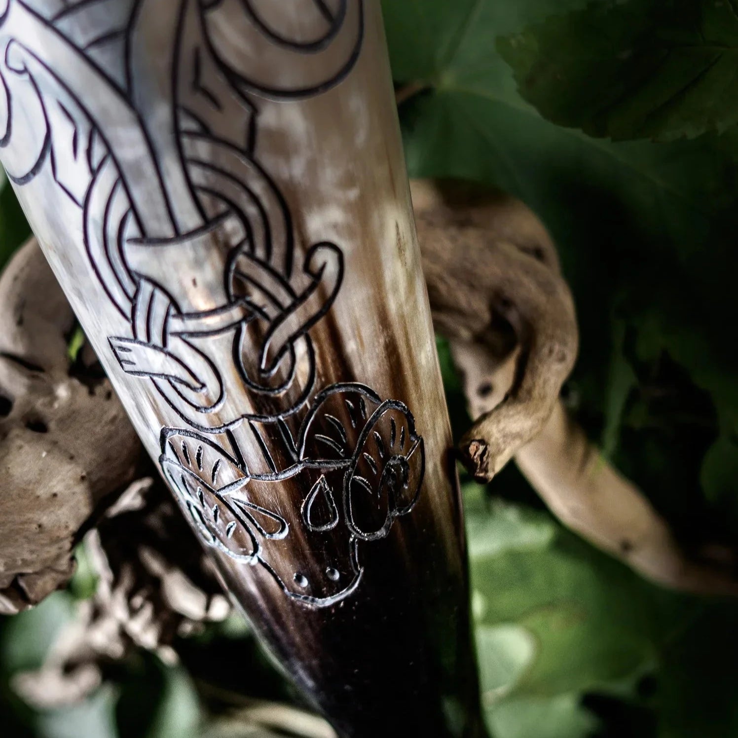 Graverat horn, Bock