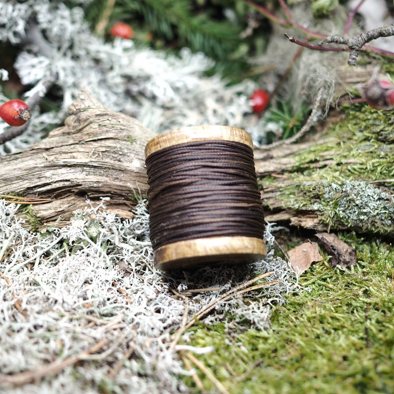 Brun polycord på träspole liggande på mossa och lav, närbild sidovy