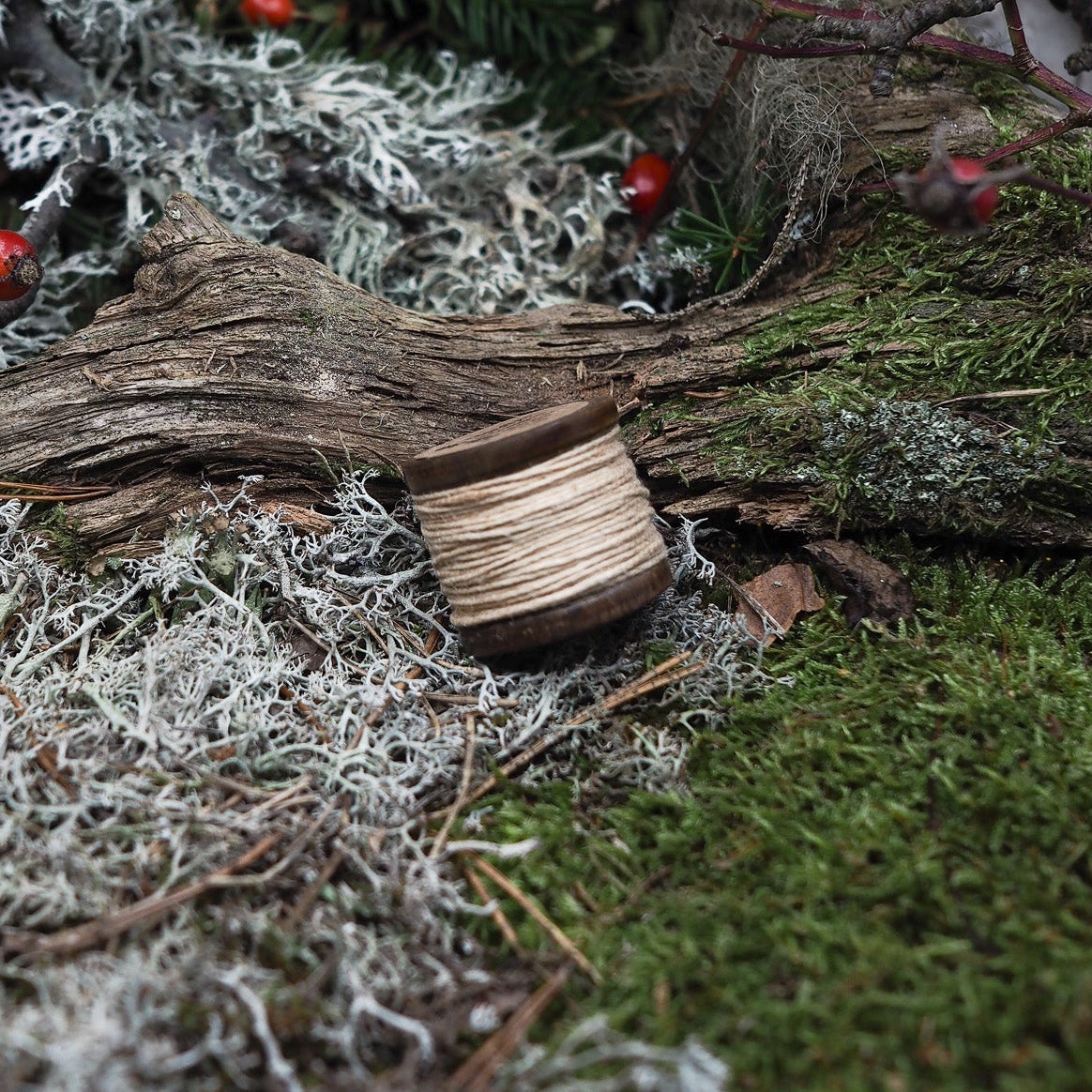 Träspole med linnetråd bland mossa, renlav och nypon, sidovy i vintermiljö